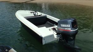 Savage Electra Yamaha 200hp