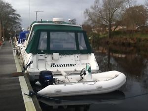 sea ray sundancer 310
