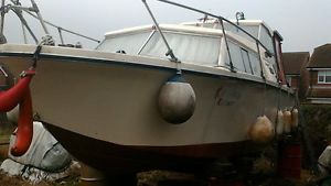 Birchwood 25