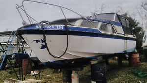 PROJECT SEAMASTER 25  RIVER CRUISER WITH TWIN VOLVO PENTA PETROL ENGINES ON LEGS