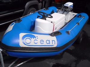 3.1m Ocean Rib / Boat / Inflatable with 15hp Evinrude Outboard VERY FAST!
