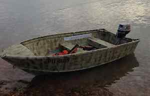 3.1M Quintrex, 8hp Mariner (2016), Rino rooftop loader