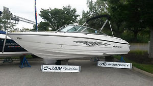 2015 Monterey 224FS