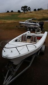 17ft Savage fishing/ski boat