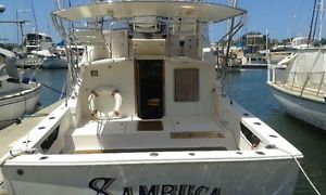 28ft Bertram Game Boat plus Marina Berth
