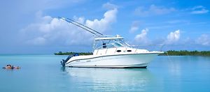 2004 Seaswirl Walkaround 2901