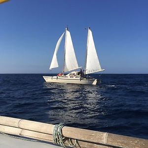 11 metre Sailing Catamaran