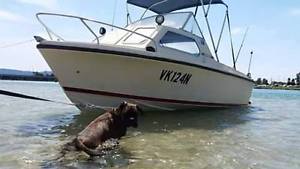 PRIDE 4.9M HALF CABIN CRUISER