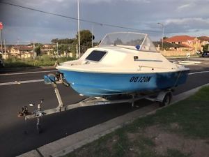 Haines Hunter fiberglass boat 15 ft ( 4.5 M )  65 HP Mercury outboard