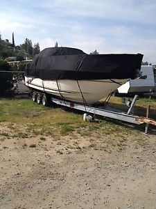 Sea Ray 270 Sundancer trailer cover