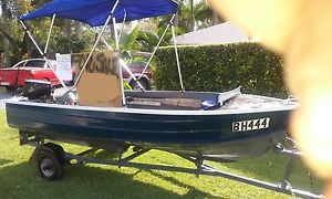 3.8 M TINNY,  15hp, JOHNSON, BIMINY and TRAILER.