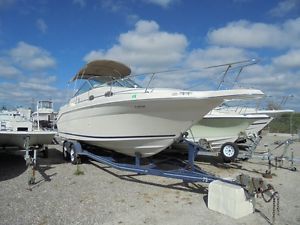 1999 SEARAY