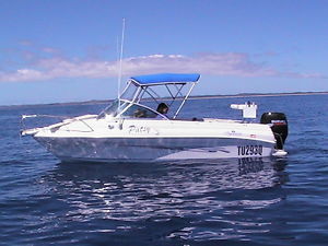Haines Signature 542RF