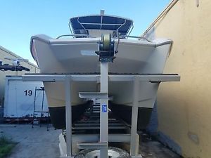 1997 Glacier Bay 260 Canyon Runner