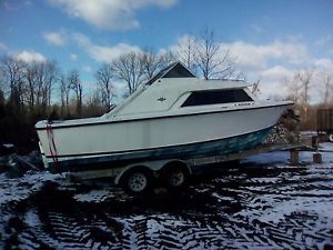 Bertram 25' Express Cruiser