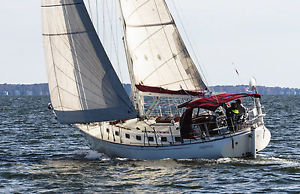 Shearwater 39
