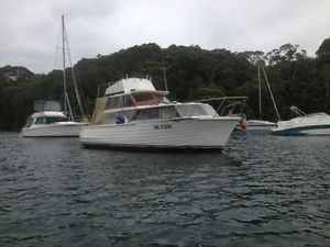 timber cruiser project