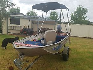 Stessl Edgetracker 385 tinnie