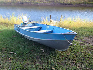 Tinnie boat 12 ft aluminium with 5 hp Suzuki outboard excellent condition cheap