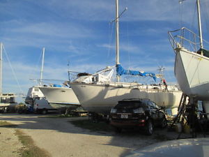 gulfstar 36'