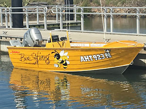 4.2m Savage Kestrel fishing boat