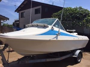 Seafarer 4,8 Johnson 100 HP
