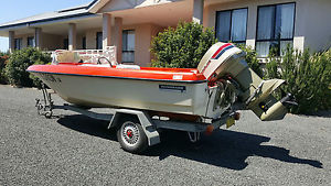 Pongrass 4.8m ski boat with Evinrude 115hp motor