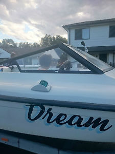 ski/fishing boat