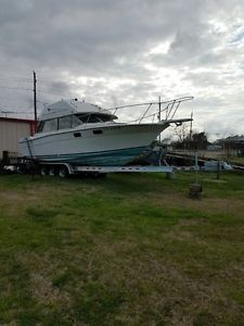 1983 Bayliner contessa