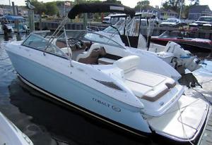Cobalt 242 2013