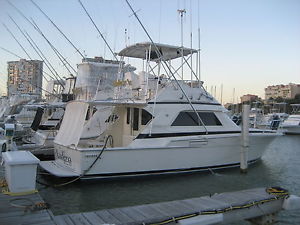1988 Bertram 37