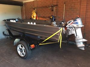 Evinrude 9.9hp tinny 3.7m long includes everything neeeded