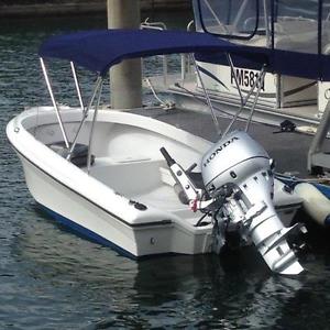 Ocean Max 4.5 Stinger