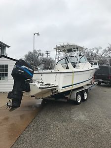 2509 trophy bayliner with 225 optimax