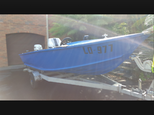 14ft tinny 1981 de havilland with near new evinrude 50hp