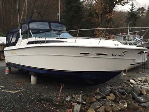 Sea Ray 390 Express Cruiser Boat