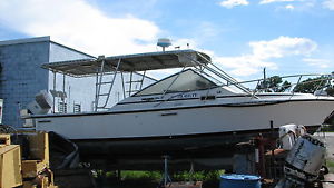 1989 Phonix