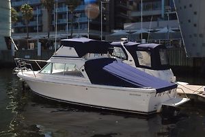 Bertram 25