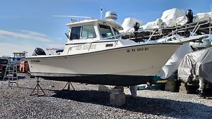 2011 Steiger Craft 21 dv miami