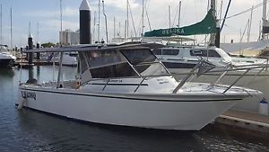7.9 Gullwing Super Sport Boat