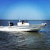 2009 Triton