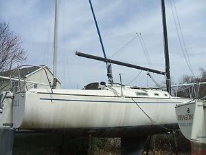 1984 TOLLOTSON