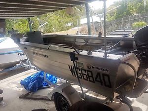 Horizon 4.2mtr Boat