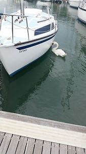 Invader 20 Yacht