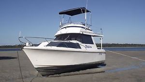 President 800 Cruise Craft