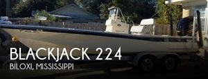 2013 Blackjack 224 Used