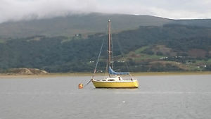 Sailing boats