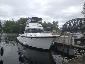 1981 Gulfstar