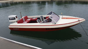 14ft SKI/FISHING/FAMILY boat. 70hp JOHNSON OUTBOARD. GOOD TRAILER. REGO