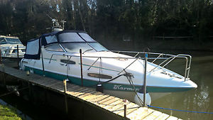SEALINE SPORTS CRUISER